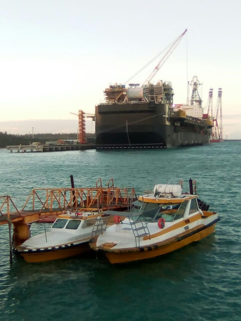 Embarcação Sea Gul — Vitsea